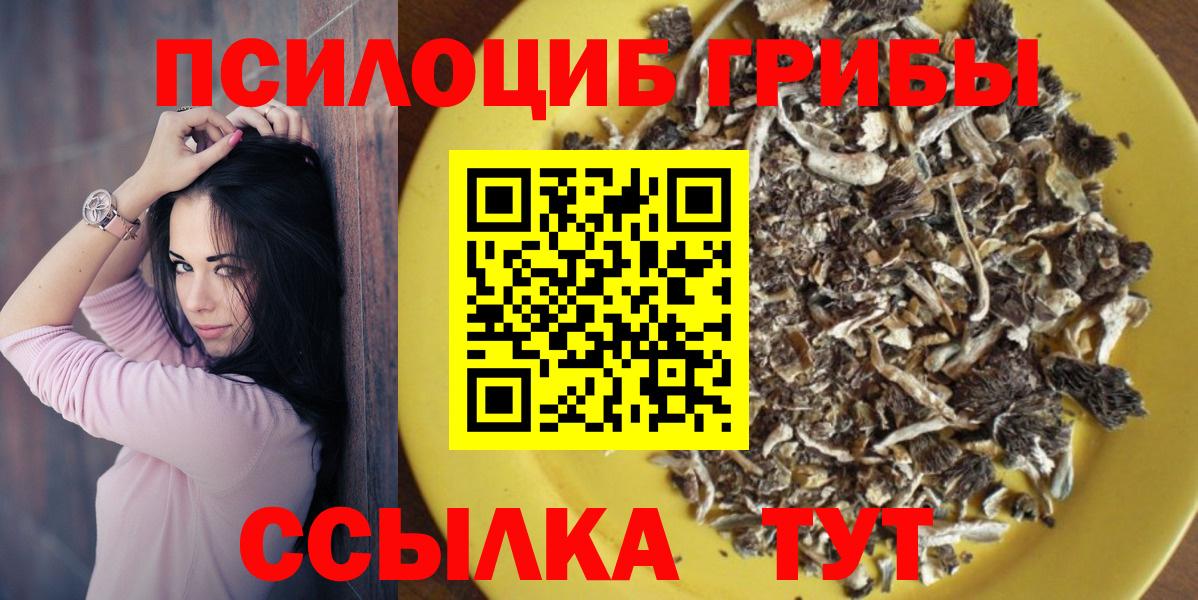 Нижнекамск  Галлюциногенные грибы MAGIC MUSHROOMS  Вход с VPN  Псилоцибиновые грибы мицелий 